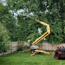 Best Grass Overseeding  in Harrisburg, NC