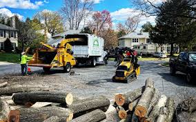 Best Leaf Removal  in Harrisburg, NC
