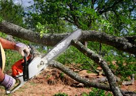 Best Aeration Services  in Harrisburg, NC
